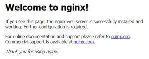 Nginx on vagrant